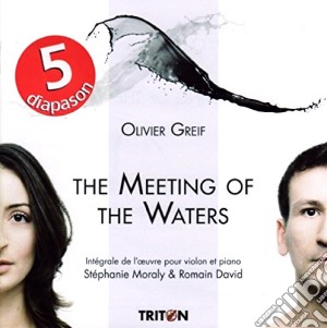 Olivier Greif - The Meeting Of The Waters cd musicale di Olivier Grief