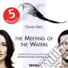 Olivier Greif - The Meeting Of The Waters cd