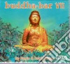 Buddha-Bar / Vol.7 : By Ravin And Dav / Various cd