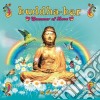 Buddha-Bar Summer Of Love By Ravin / Various (2 Cd) cd