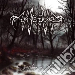 Afterlife - Symphony Of Silence cd