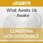 What Awaits Us - Awake cd