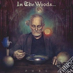 In The Woods - Pure cd musicale di In The Woods