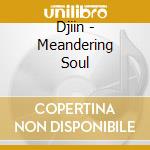 Djiin - Meandering Soul cd