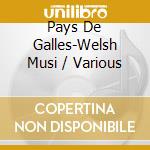 Pays De Galles-Welsh Musi / Various cd musicale