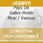Pays De Galles-Welsh Musi / Various cd