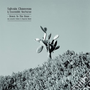 (LP Vinile) Sylvain Chauveau & Ensemble Nocturne - Down To The Bone lp vinile di Sylvain Chauveau & Ensemble Nocturne