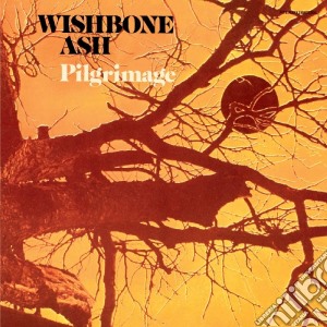 (LP Vinile) Wishbone Ash - Pilgrimage (Orange Vinyl) lp vinile