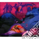 Pinknruby - The Vast Astonishment cd