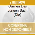 Quellen Des Jungen Bach (Die) cd