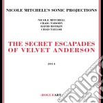 Nicole Mitchell's Sonic Projections - The Secret Escapades Of Velvet Anderson