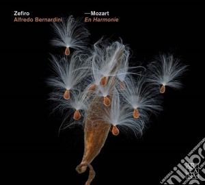 Wolfgang Amadeus Mozart - En Harmonie. Arrangiament D'Op cd musicale di Wolfgang amadeus moz