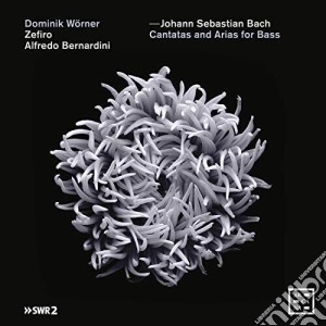 Johann Sebastian Bach - Cantate E Arie Per Basso cd musicale