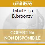 Tribute To B.broonzy cd