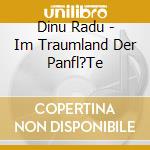 Dinu Radu - Im Traumland Der Panfl?Te cd