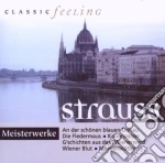 Johann Strauss - Meisterwerke Strauss cd