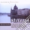 Johann Strauss - Meisterwerke Strauss cd