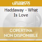Haddaway - What Is Love cd
