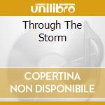 Through The Storm cd