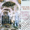 Johann Sebastian Bach - Glanzlichter Fur Trompete Und Orgel Bwv 62, 1031, 1068, 592, 156, 13, 972, - Jean Francois Michel / Klemens Schnorr cd