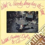 Ashton, Gardner & Dyke - What A Bloody Long Day It cd