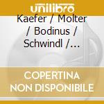 Kaefer / Molter / Bodinus / Schwindl / Brandl - Music At The Court Of Karlsruhe cd musicale