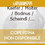 Kaefer / Molter / Bodinus / Schwindl / Brandl - Music At The Court Of Karlsruhe cd