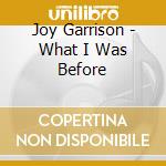 Joy Garrison - What I Was Before