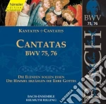 Johann Sebastian Bach - Cantate Sacre (integrale) , Vol.24 cd