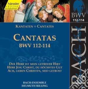 Johann Sebastian Bach - Cantate Sacre (integrale) , Vol.36 cd musicale di Bach Johann Sebastian