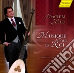 Musique Pour Le Roi - Opere Per Liuto Di Compositori Francesi - Held Joachim Lt