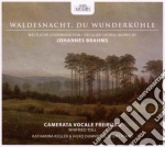 Johannes Brahms - Choral Works cd