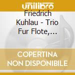 Friedrich Kuhlau - Trio Fur Flote, Fagott & Klavier Op.119 cd
