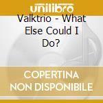 Valktrio - What Else Could I Do? cd