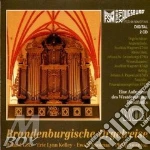X organo 91 - organi storici del brandeb cd