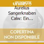 Aurelius Sangerknaben Calw: Ein Weihnachtskonzert cd