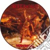 (LP Vinile) Bathory - Hammerheart (Picture Disc) cd