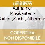 Aufhamer Musikanten - Saiten-,Ziach-,Zithermusi cd