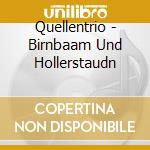 Quellentrio - Birnbaam Und Hollerstaudn cd