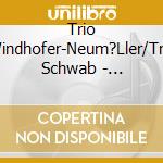 Trio Windhofer-Neum?Ller/Trio Schwab - Musikantenfreundschaft cd