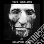 (LP VINILE) Sleeping dogs cd