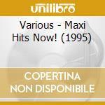 Various - Maxi Hits Now! (1995) cd