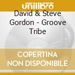 David & Steve Gordon - Groove Tribe cd