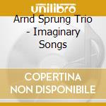 Arnd Sprung Trio - Imaginary Songs cd