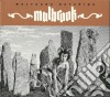 Wolfgang Meyering - Malbrook cd