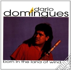 Dario Domingues - Born In The Land Of Wind cd musicale di Dario Domingues