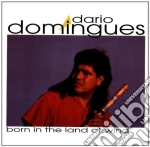 Dario Domingues - Born In The Land Of Wind cd