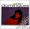 Dario Domingues - Born In The Land Of Wind cd