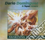 Dario Domingues - Awakening In Rhythms cd