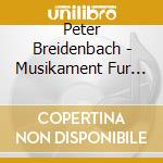 Peter Breidenbach - Musikament Fur Ihre Augen cd musicale di Peter Breidenbach